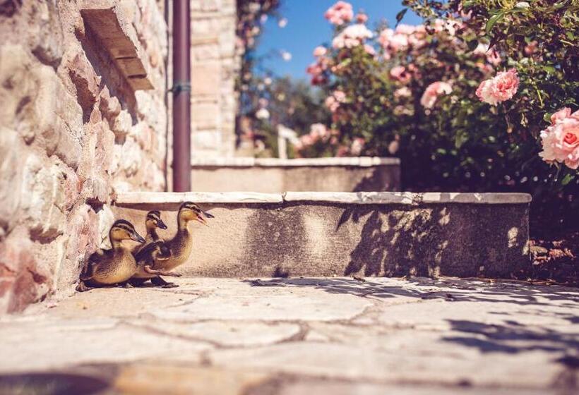 ホテル Agriturismo Casal San Sergio