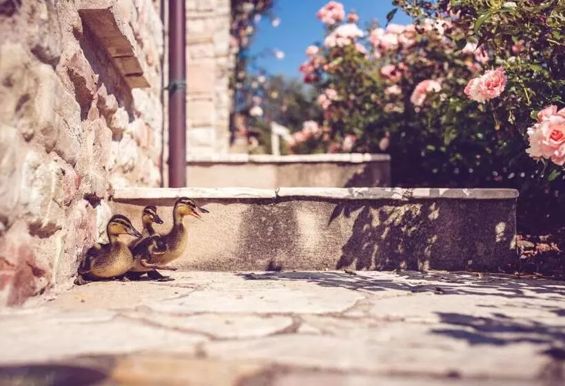 ホテル Agriturismo Casal San Sergio
