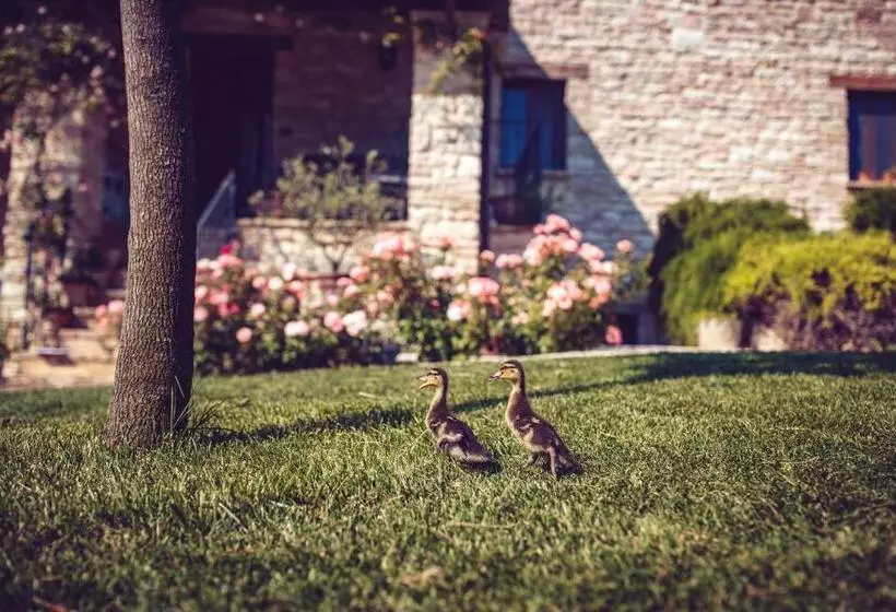 ホテル Agriturismo Casal San Sergio