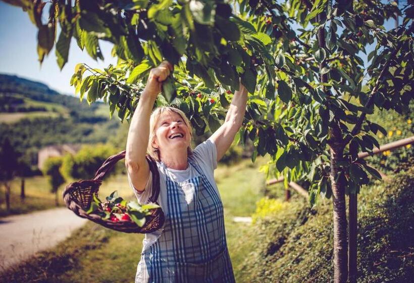 ホテル Agriturismo Casal San Sergio