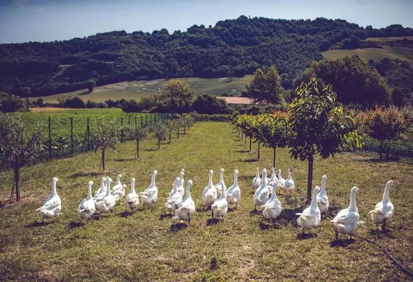 ホテル Agriturismo Casal San Sergio
