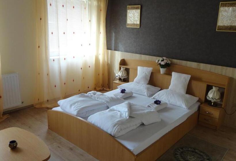 Отель Centrum Szeged