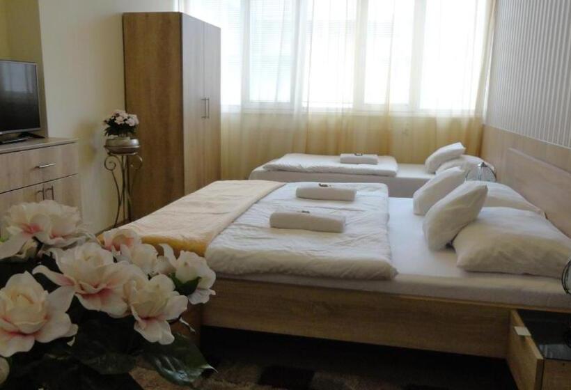 Отель Centrum Szeged