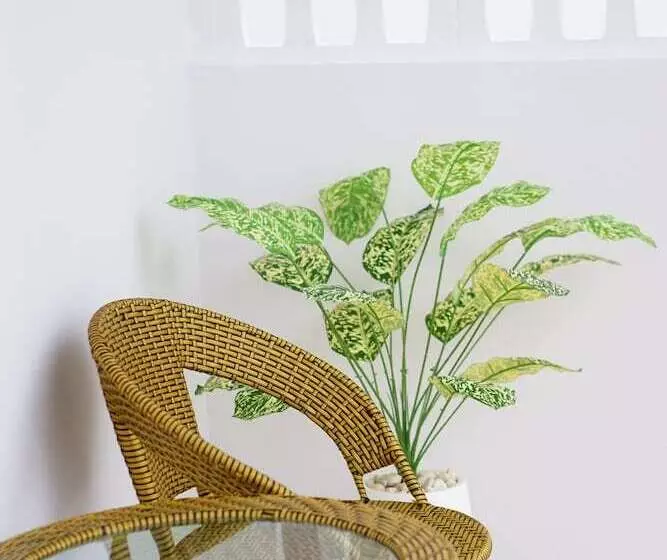 ホテル Chanmuang Resort