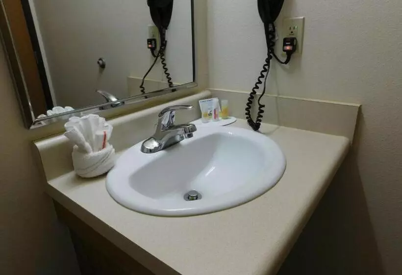 هتل Days Inn & Suites By Wyndham Rochester South