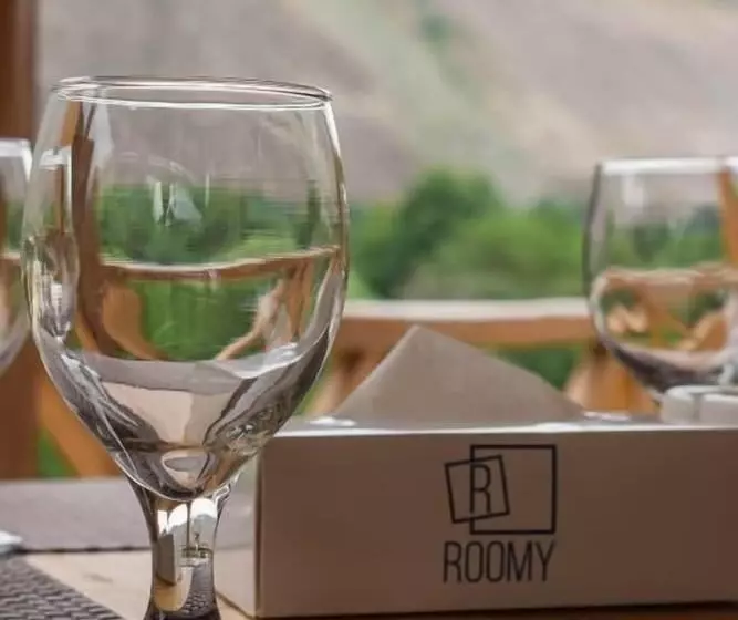 هتل Roomy Hindukush Sarai