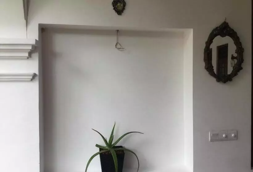 Pensió Dew Drop Villa