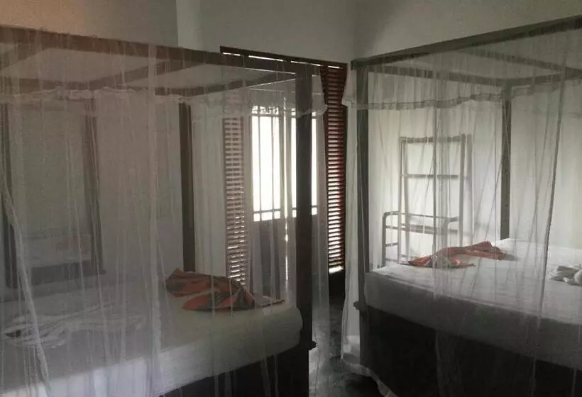 Pensió Dew Drop Villa