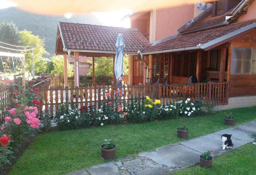 پانسیون Guesthouse Tadic