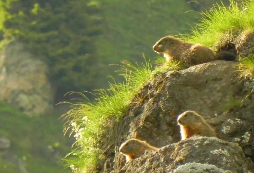 Majatalo Rifugio Capanna Bill