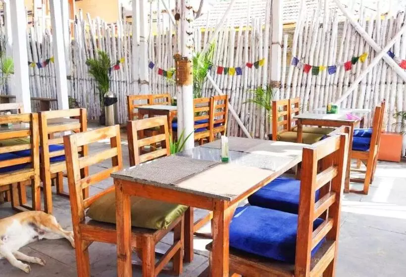 リゾートホテル Drishti Yoga International