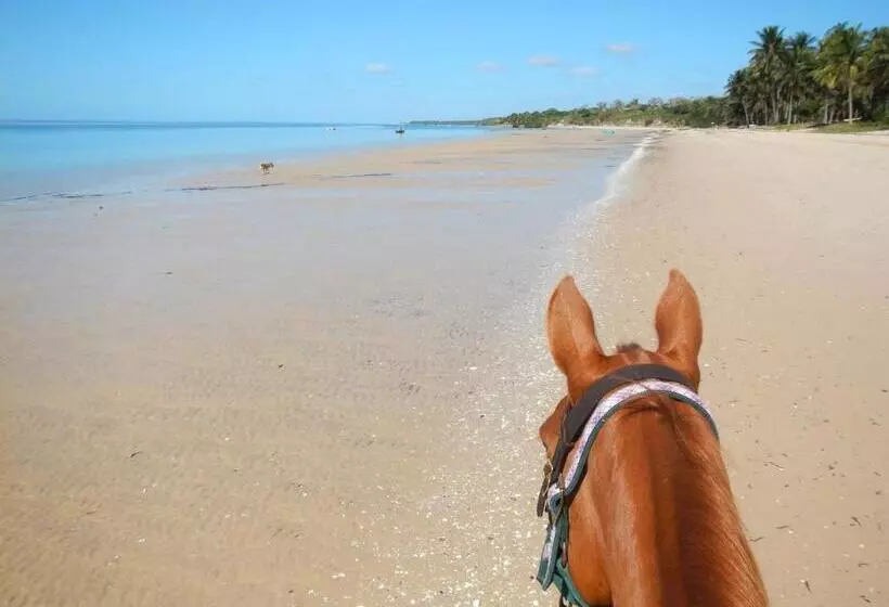 リゾートホテル Villa Santorini