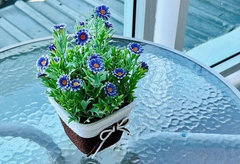 T & C Hotel Patong Beach