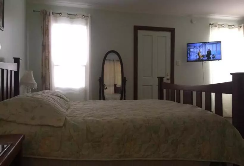 The Linear Way Bed And Breakfast
