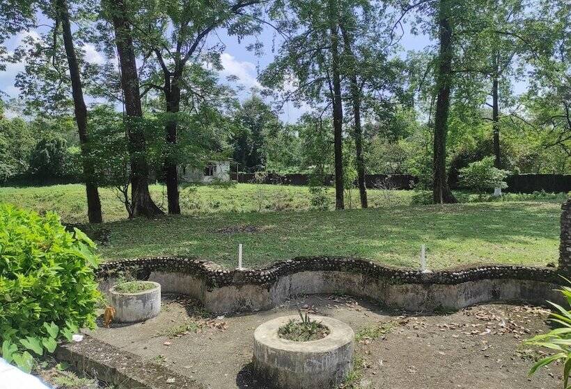 فندق Homecation Manas View Jungle Resort