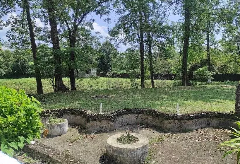 Hotelli Homecation Manas View Jungle Resort