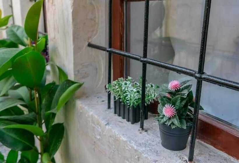 هتل Sirvani Konagi