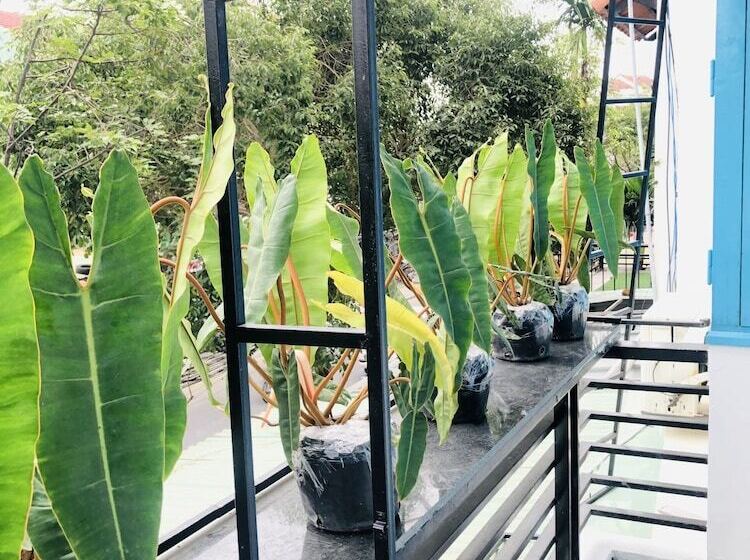 پانسیون An's Family Homestay