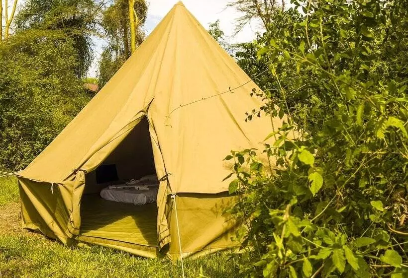 Hotelli Jungle Pearl Resort