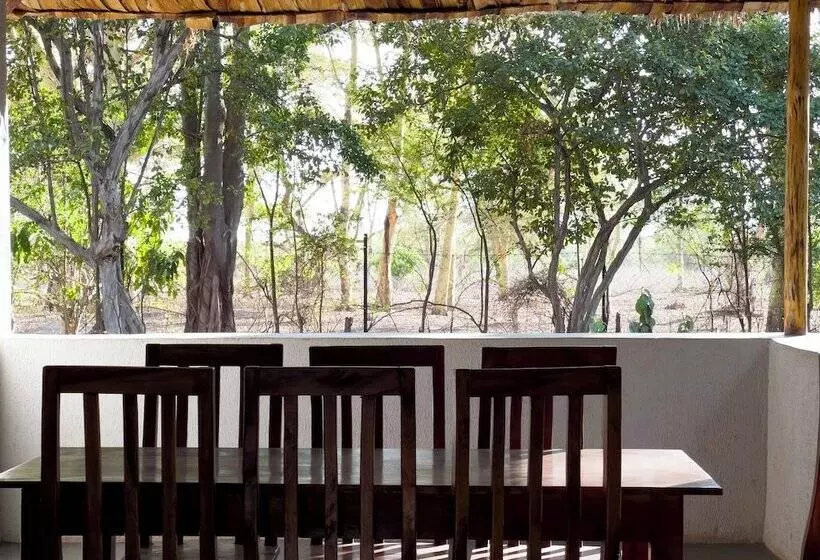 Hotelli Jungle Pearl Resort