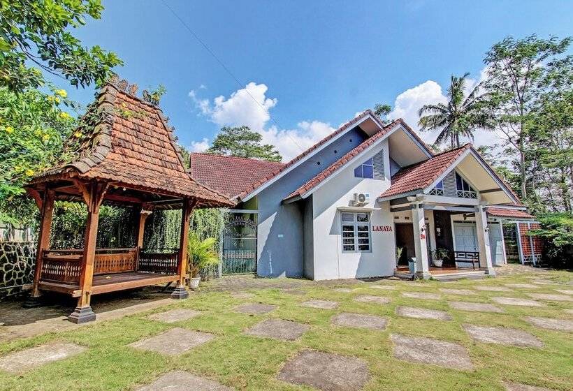 Szálloda Lanaya Guesthouse By Oyo