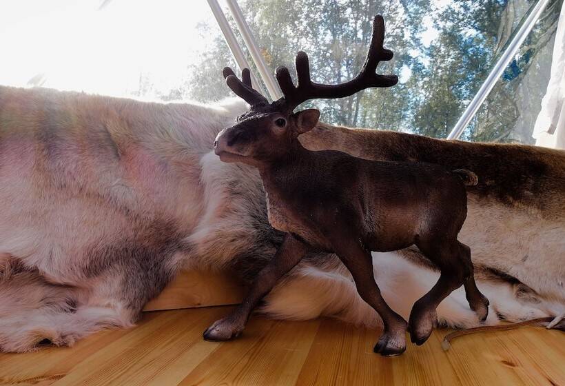 فندق Wild Caribou Dome