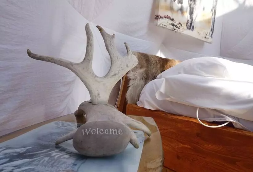 ホテル Wild Caribou Dome