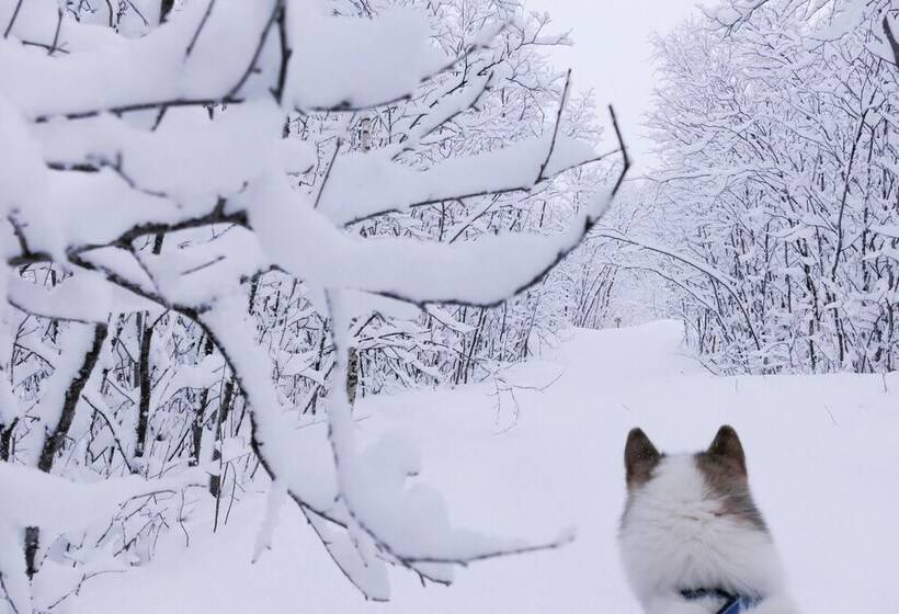 فندق Wild Caribou Dome