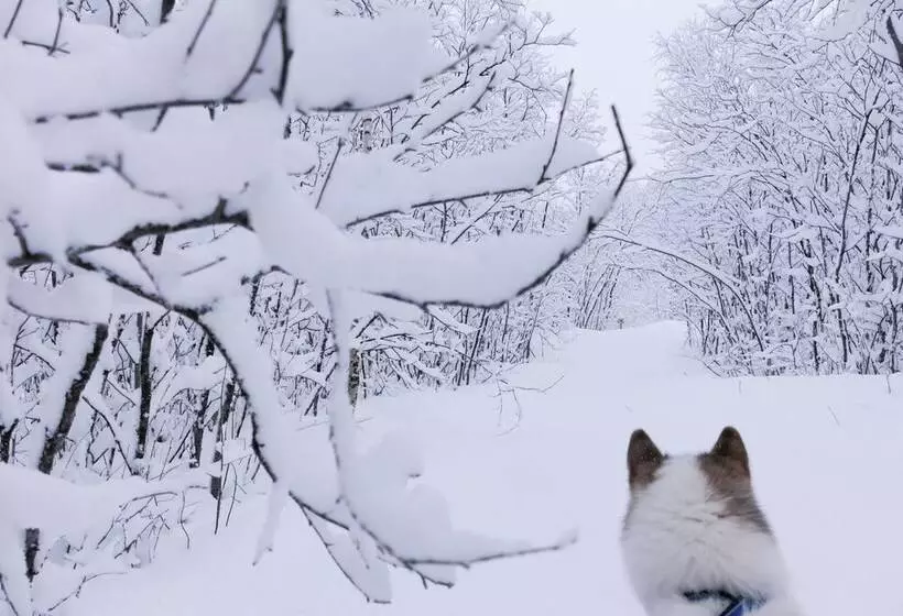 ホテル Wild Caribou Dome