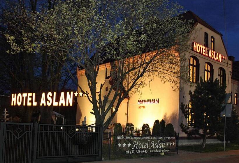 Отель Aslan