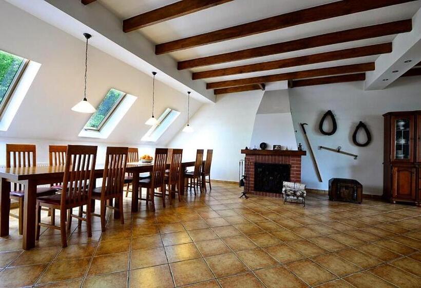 酒店 Biała Akacja Resort & Business