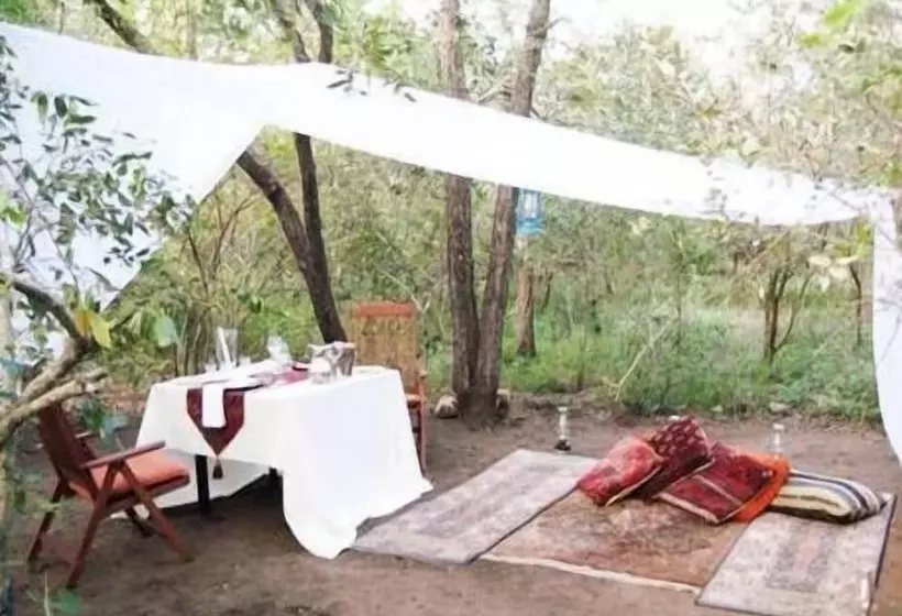 ホテル Maqueda Lodge