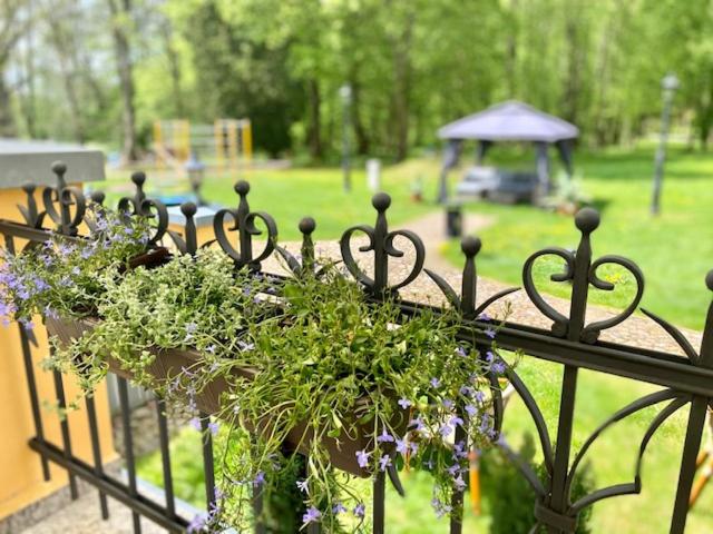 בית מלון כפרי Pałac W Rymaniu