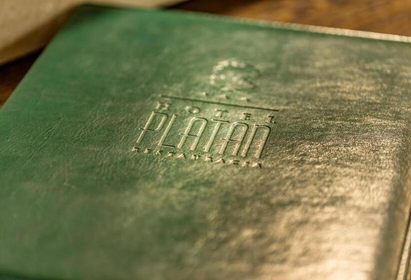 فندق Restauracja Platan