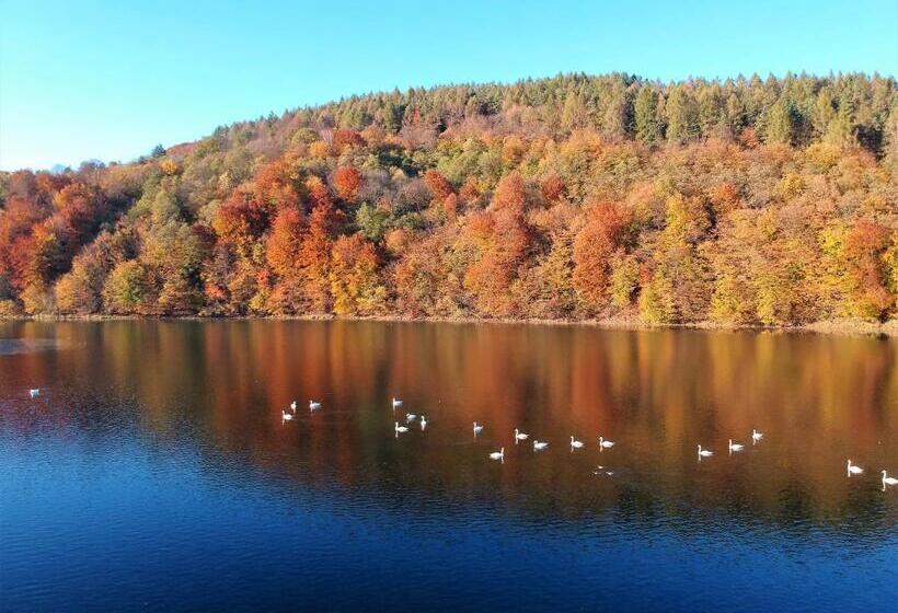 ホテル Solinianka Villas & Spa