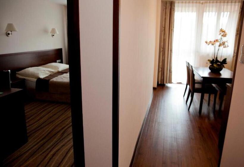 Отель Spa Budowlani