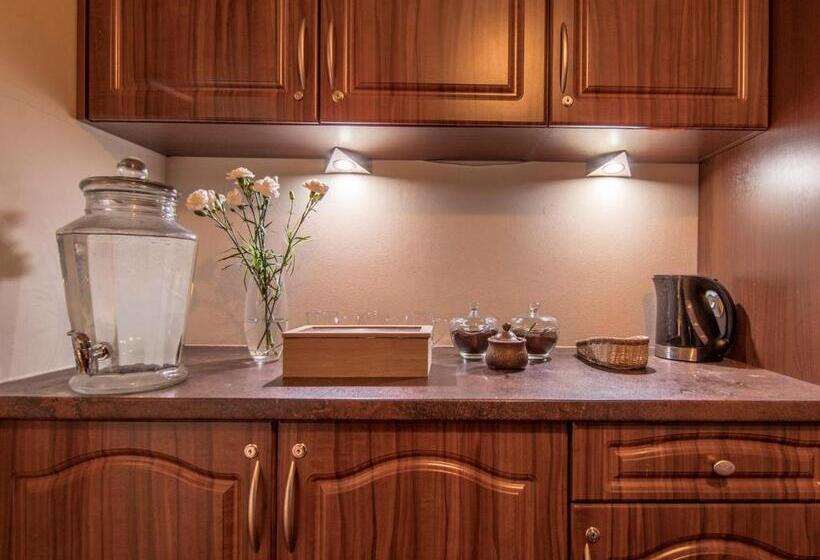 בית מלון כפרי Villa Magnat Spa, Jacuzzi, Sauna, Tężnia Solankowa