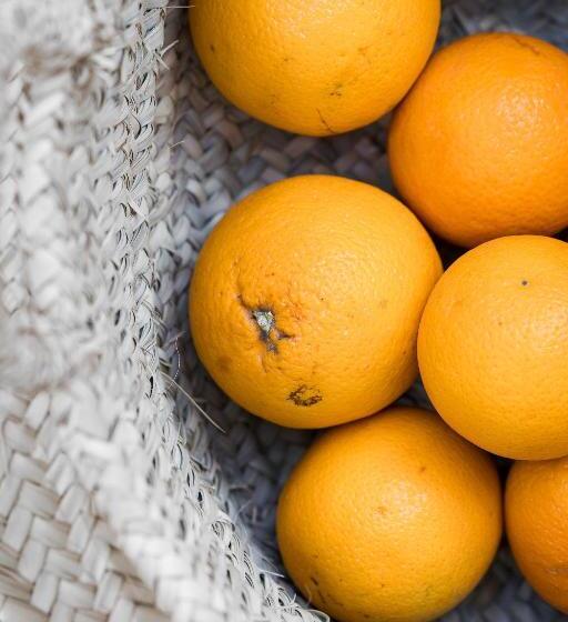 ベッドアンドブレックファースト Guerrieri Suites & Spa