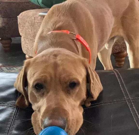 ベッドアンドブレックファースト The Brower House