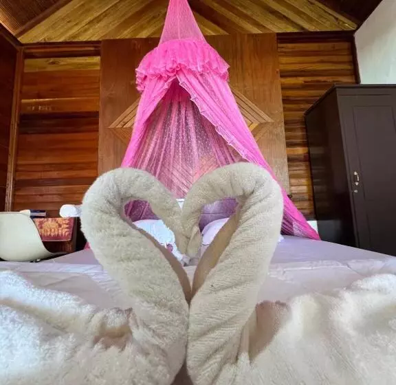 ペンション Dolphin Homestay