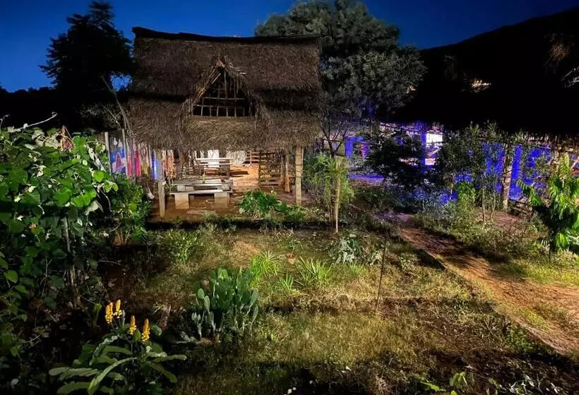 Time Travellers Hostel