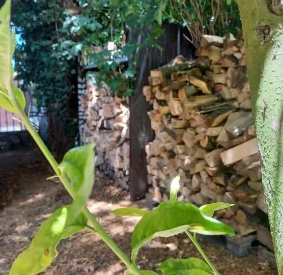 Aamiaismajoitus (B&B) L Hôthentique Proche Arras