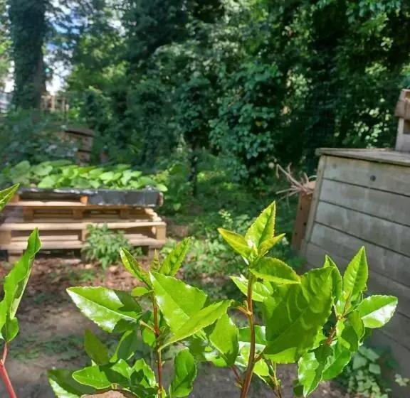 Aamiaismajoitus (B&B) L Hôthentique Proche Arras