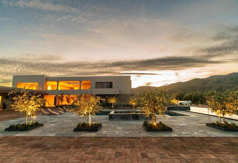 فندق Flores De Sal Valle De Guadalupe