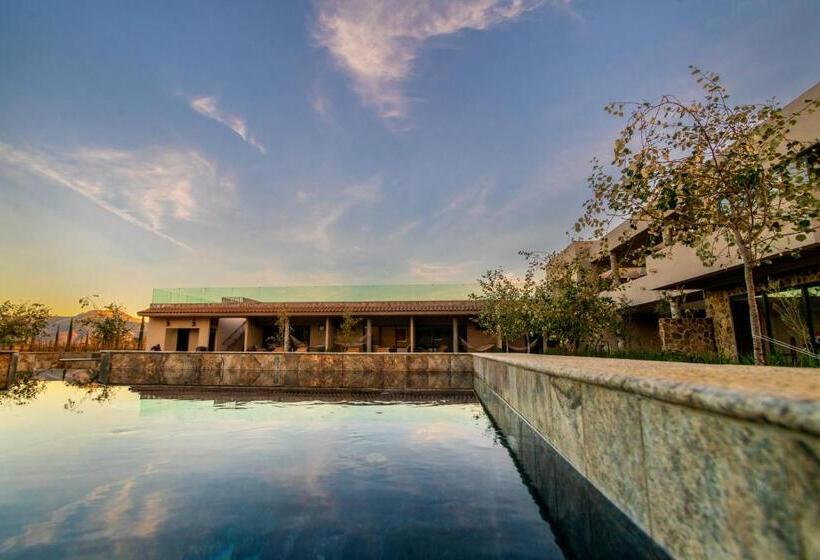 فندق Flores De Sal Valle De Guadalupe