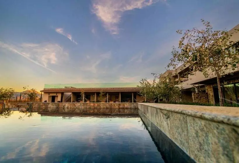 Hotelli Flores De Sal Valle De Guadalupe