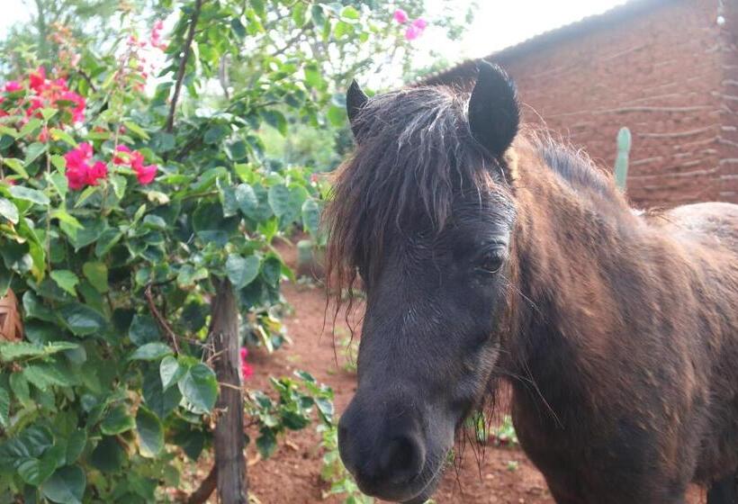 فندق Pousada Matuto Sonhador