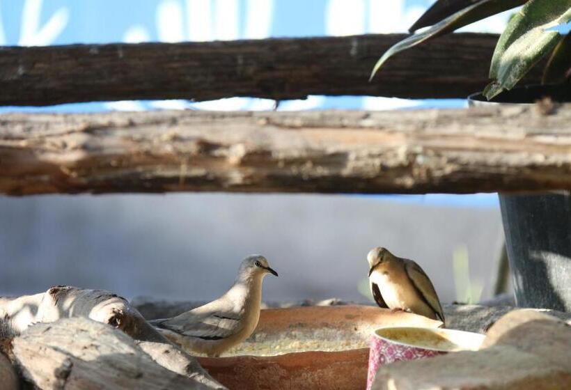 فندق Pousada Matuto Sonhador