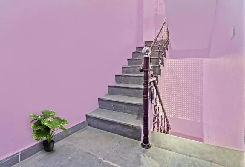 Oyo Hotel Purple Orchid
