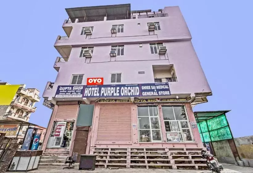 Oyo Hotel Purple Orchid